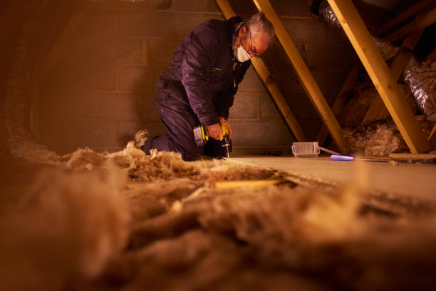 Best Insulation Installation Services in Vley, AL